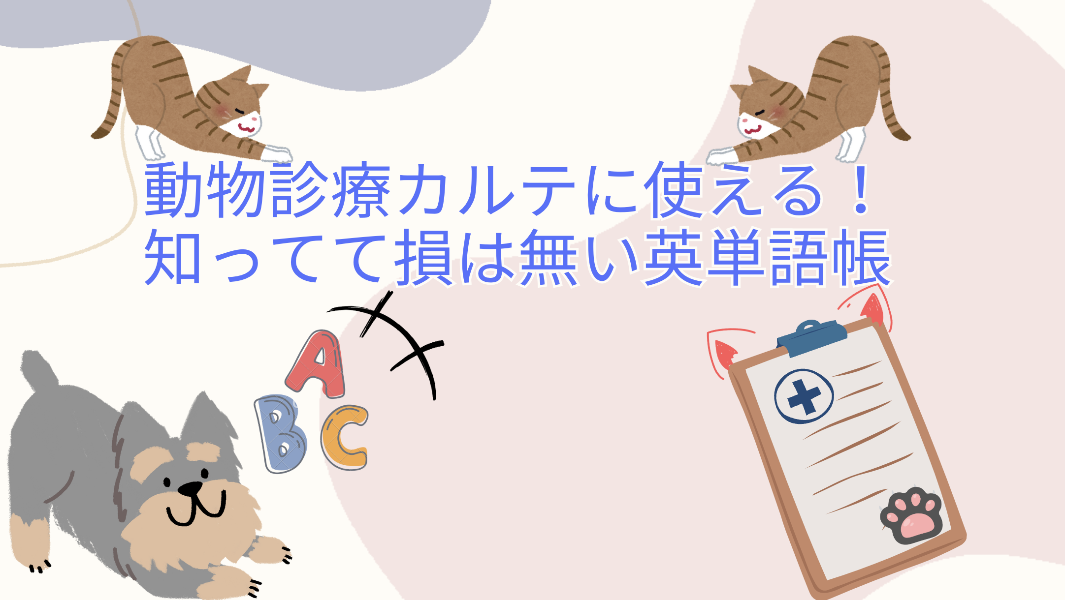 動物診療カルテに使える！知ってて損は無い英単語帳 | VT Diary